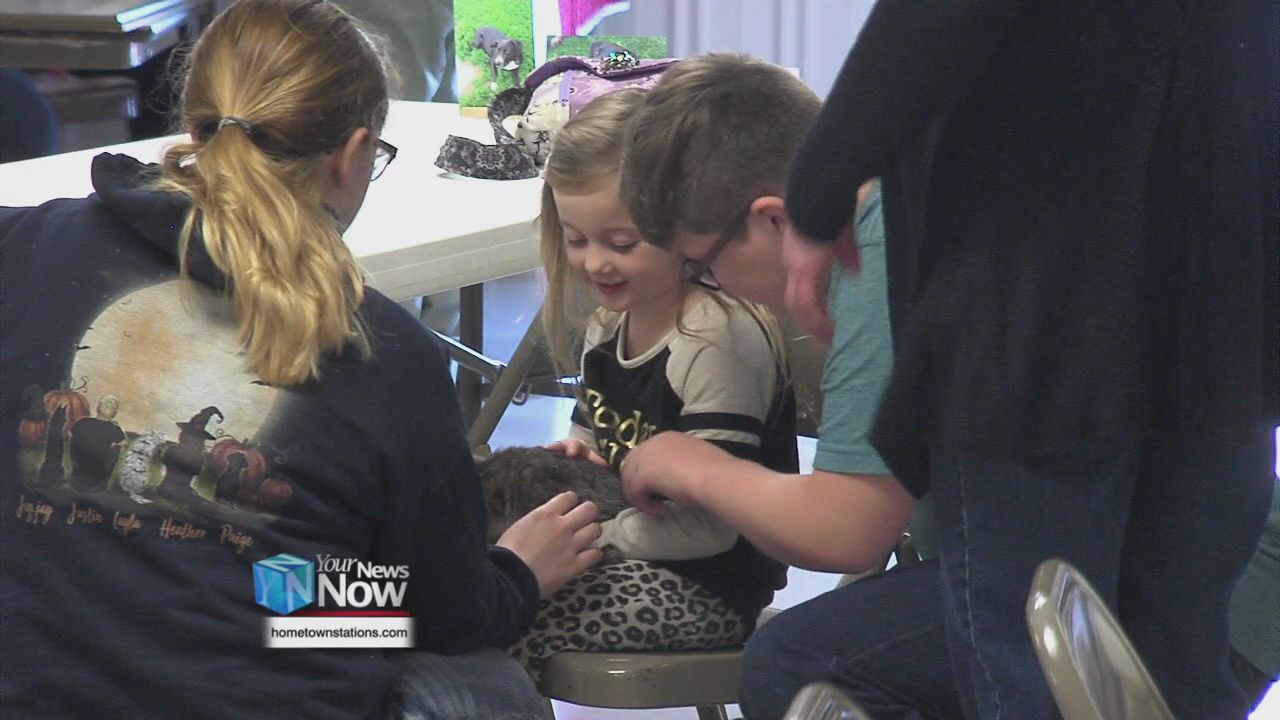 Lotta Love Pet Rescue host reverse raffle to benefit animals in need3.jpg